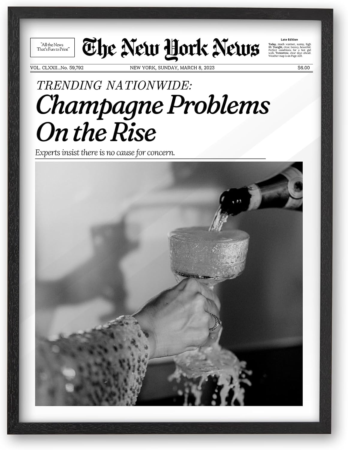 Vintage Black Framed Wall Art — 16" — Black Oak Wood Framed Champagne