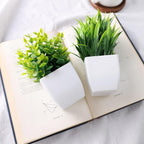 Artificial Plant - View 5