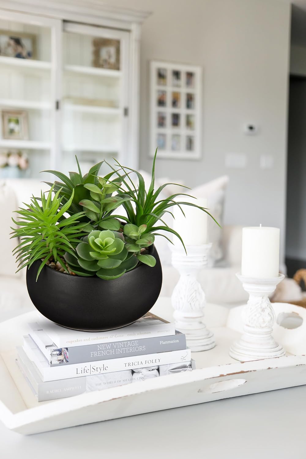 Black Faux Succulent - View 4