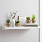 Glass Faux Plant — Set of 4 - View 6