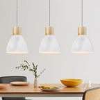 Modern Black Pendant Light - View 5