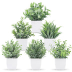Green Faux Plant