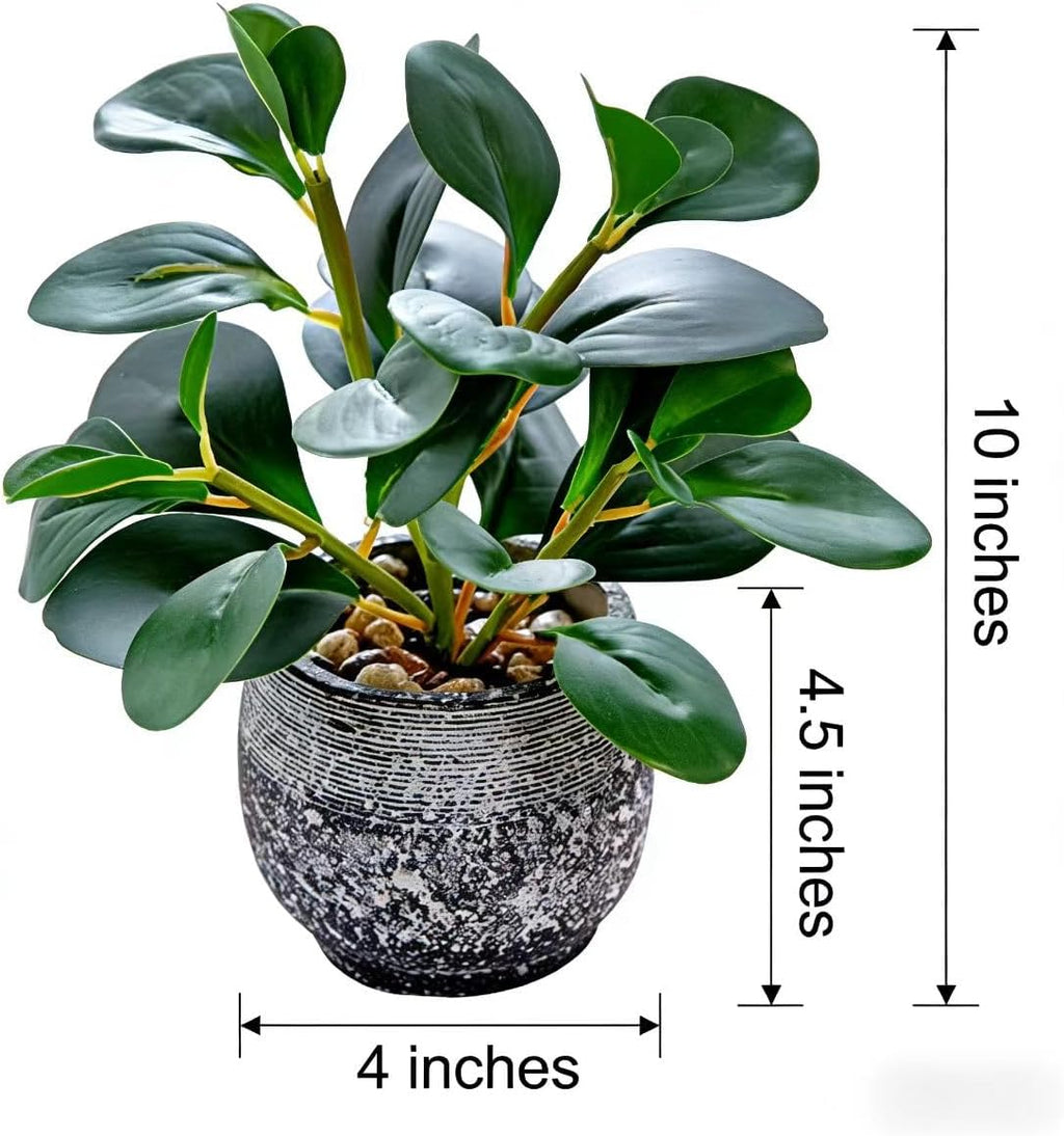 Farmhouse Green Faux Plant - View 3