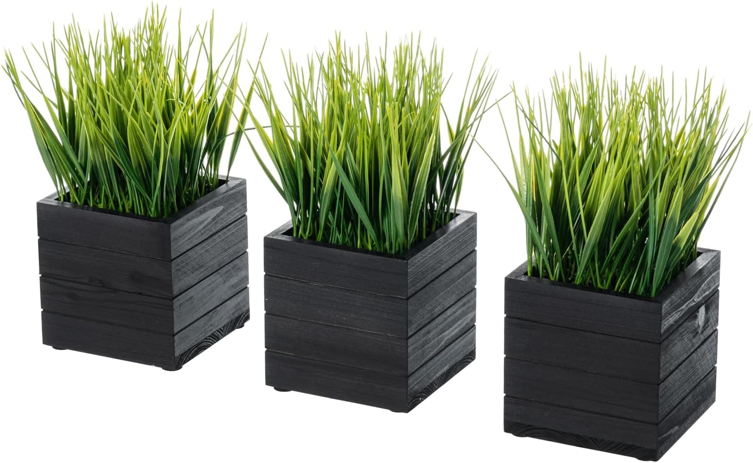 Black Faux Plant — 5" — Black Wood