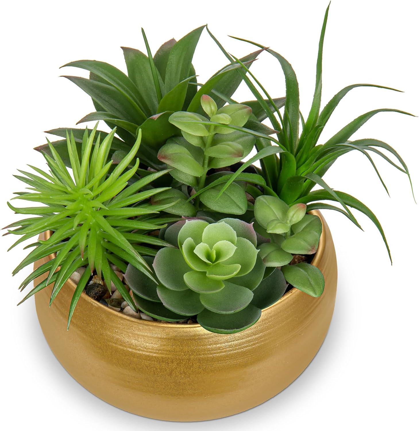 Black Faux Succulent — Premium Gold