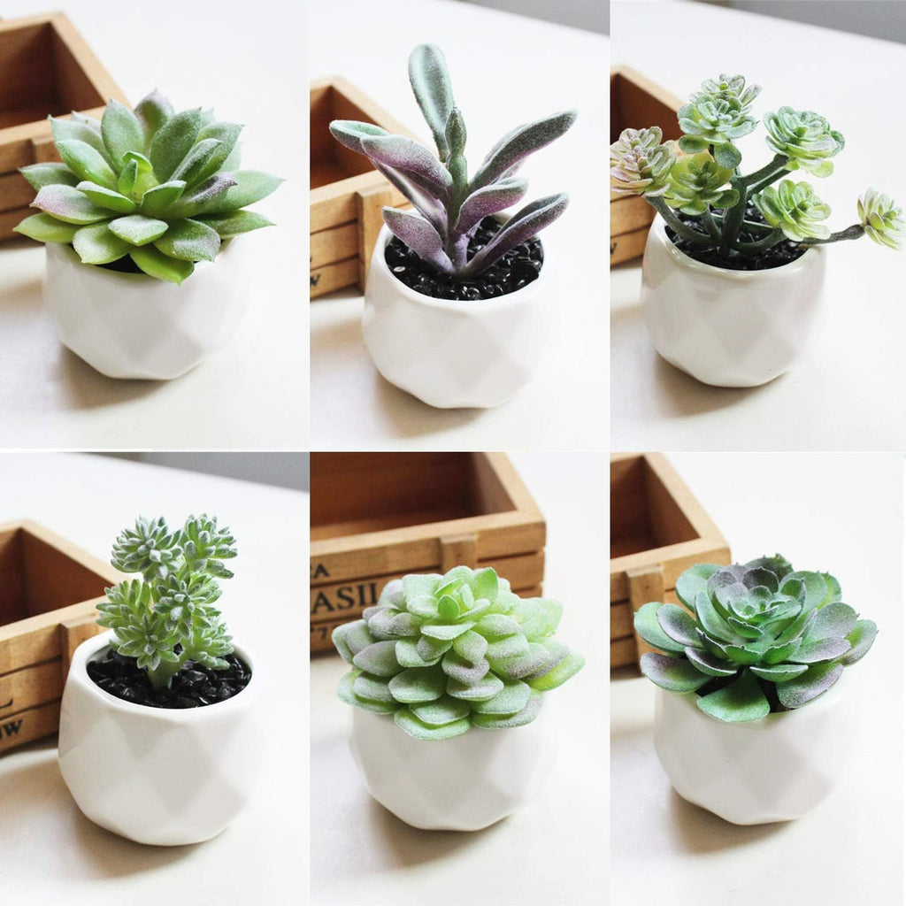 Green Faux Succulent — 5" - View 5