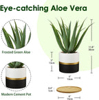 Farmhouse Black Artificial Plant - View 2