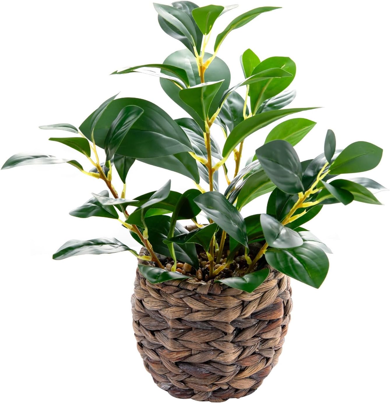 Handwoven Boho Green Artificial Plant — 17.7" — Ficus