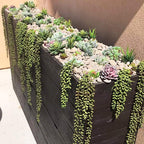 Green Artificial Plant - View 5