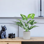 Faux Plant - View 2