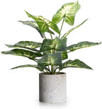 Farmhouse Faux Plant — 16" - View 9