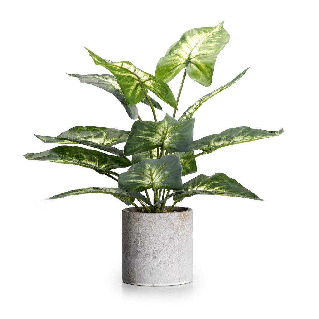 Farmhouse Faux Plant — 16"
