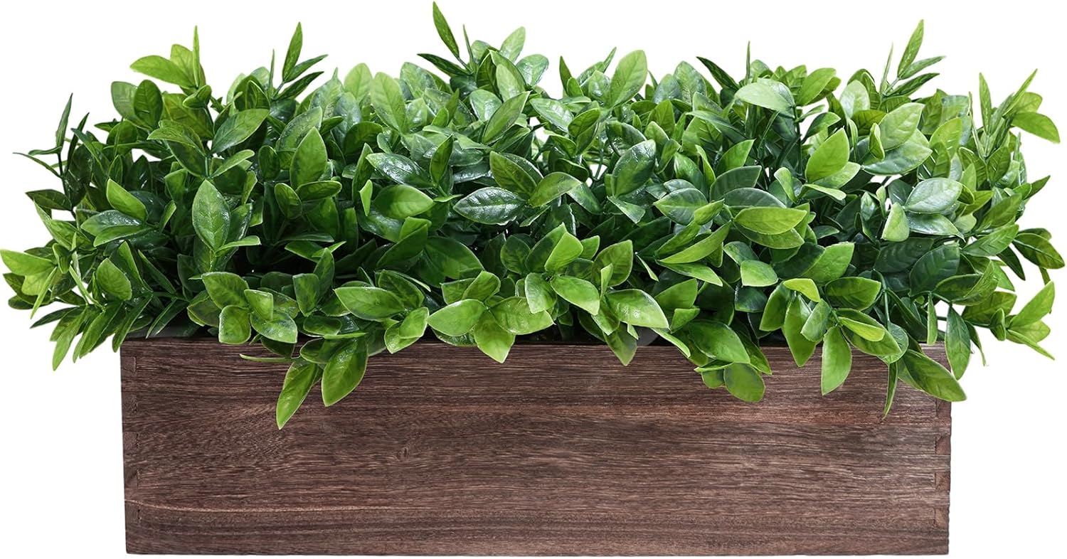 Rectangular Farmhouse Wood Artificial Plant — 14" — Boxwood