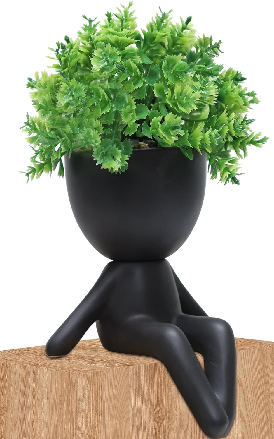 Beige Faux Succulent — Set of 1 — Black-b
