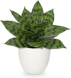Modern Black Artificial Plant — 9" — Green #1