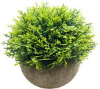 Farmhouse Artificial Plant - View 5