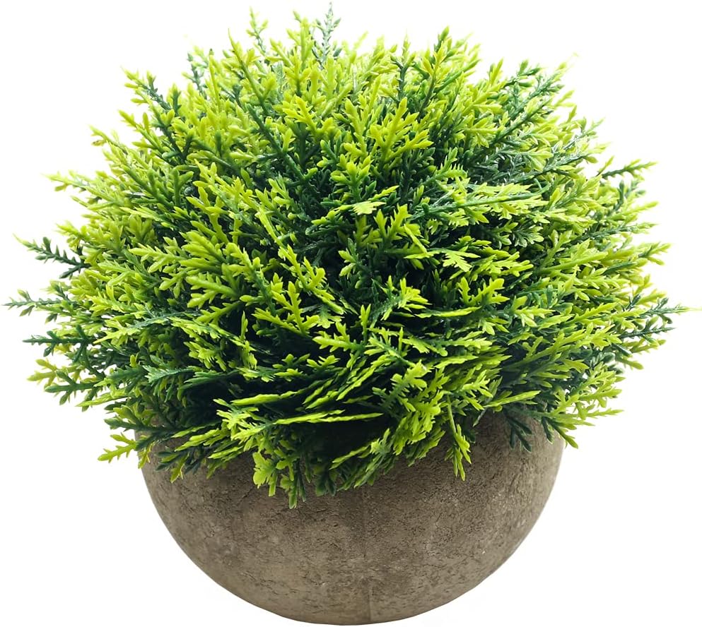 Farmhouse Artificial Plant - View 5