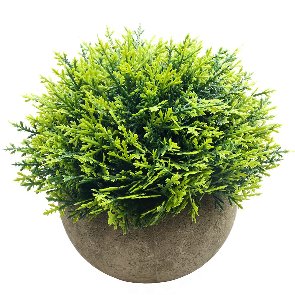 Farmhouse Artificial Plant