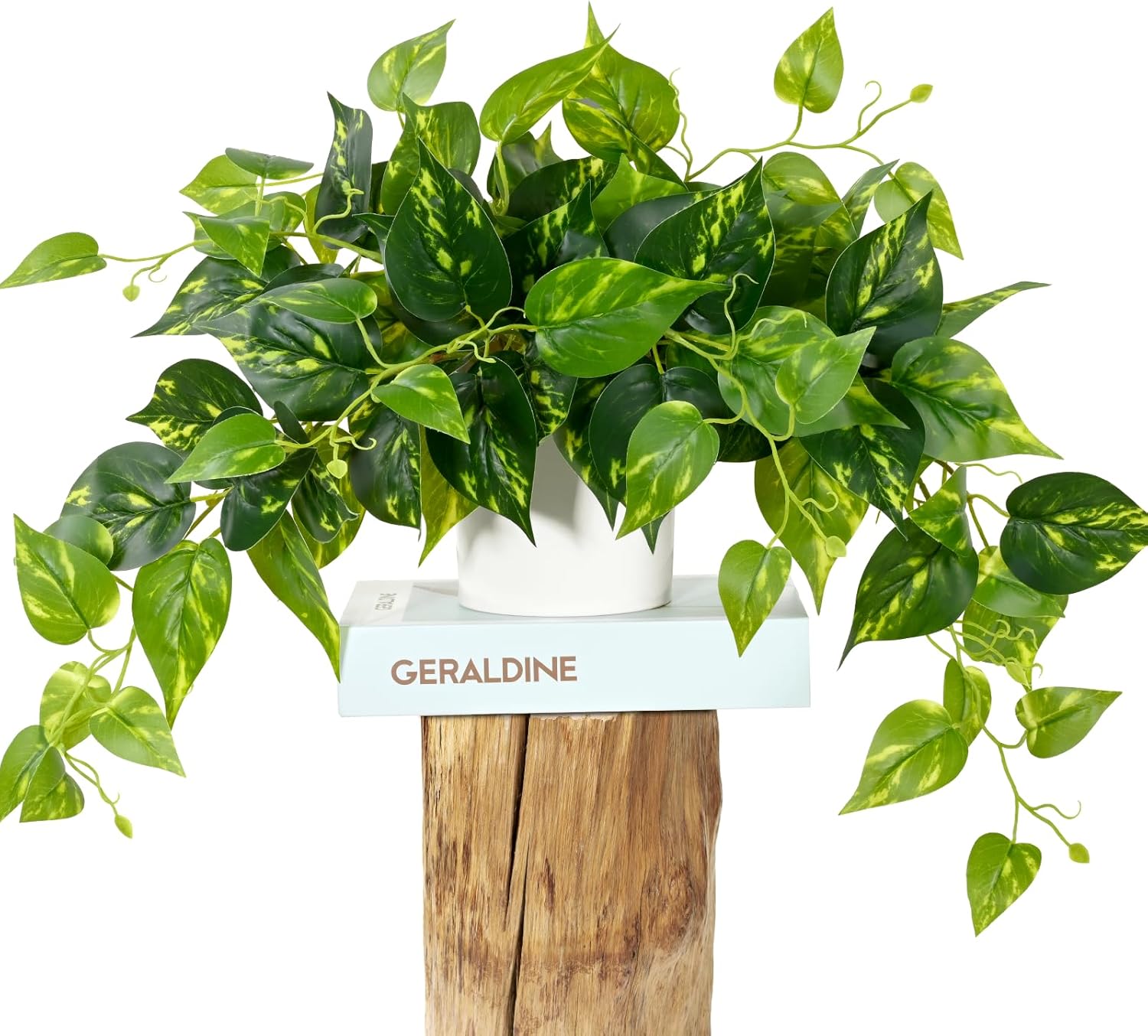 White Faux Plant — Sun-kissed
