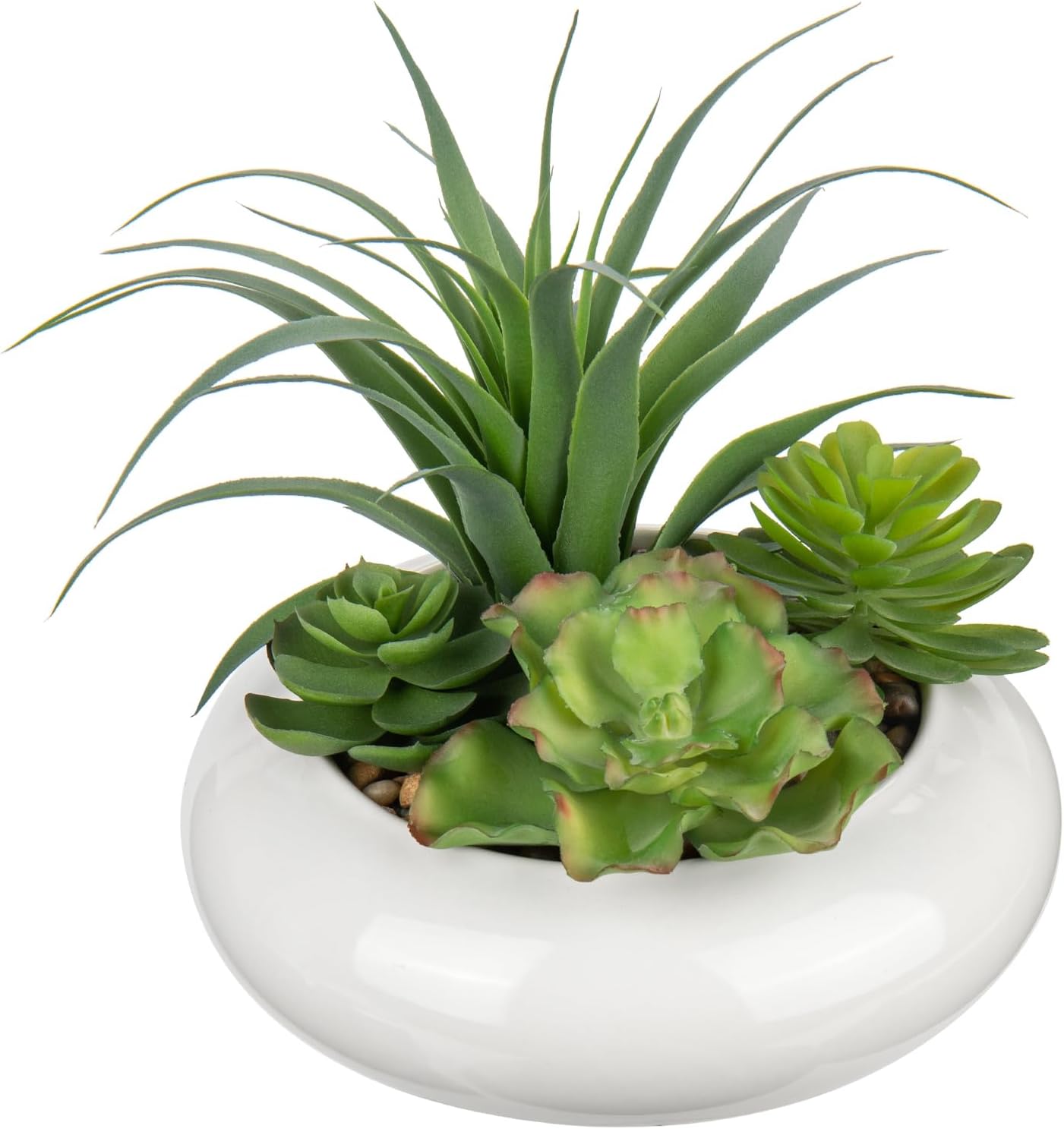 Black Faux Succulent — Large White