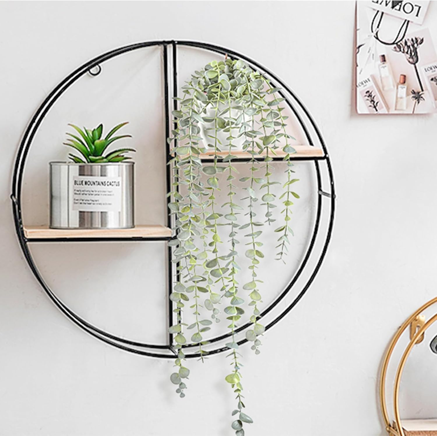 Artificial Plant - View 2