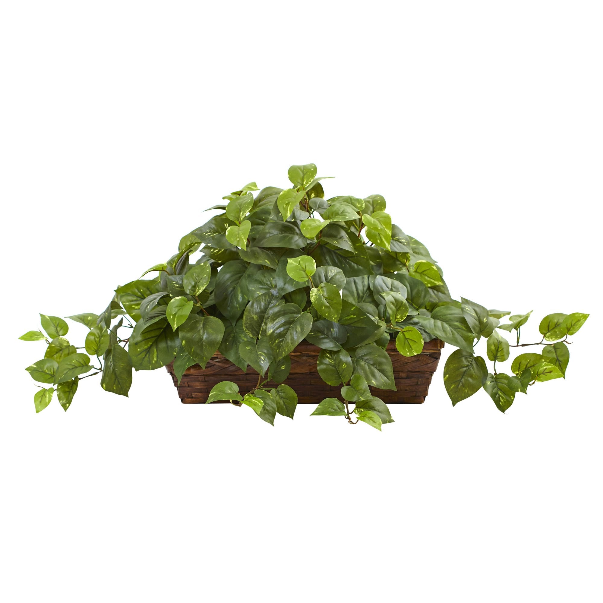 Artificial Plant