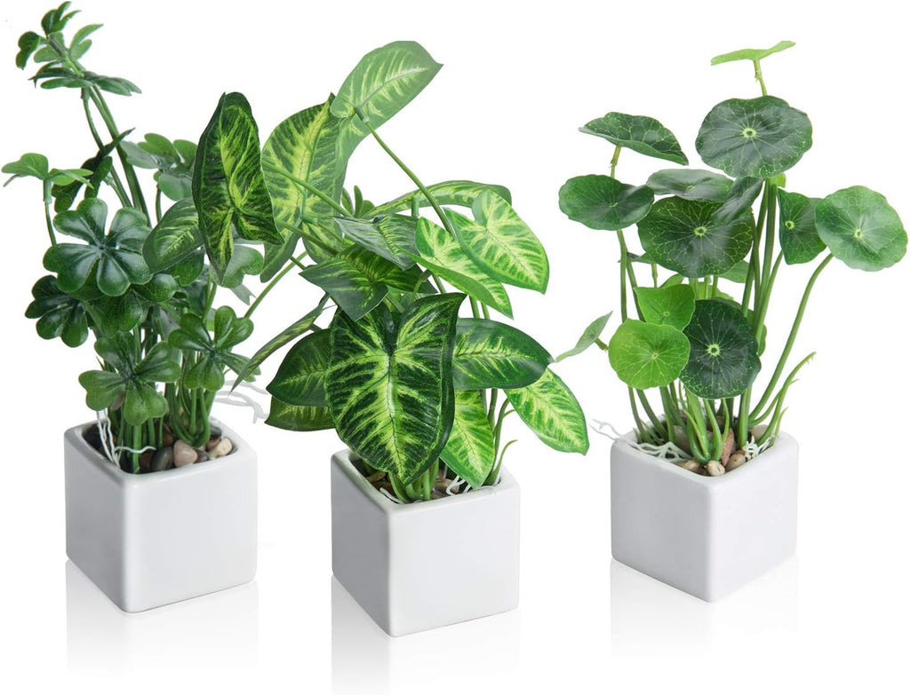 Black Faux Plant — 5" — White