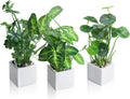 Black Faux Plant — 5" — White