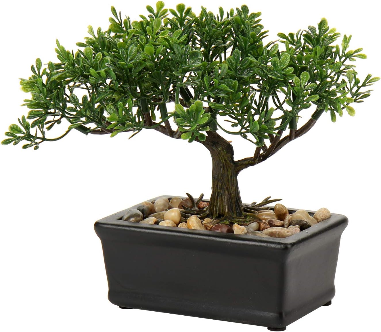 Farmhouse Ceramic Faux Plant — 6" — 6" Ficus