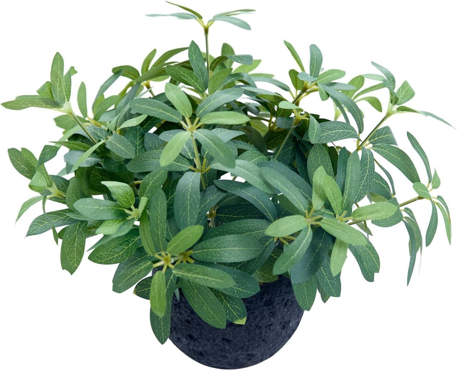 Farmhouse Green Faux Plant — Olive