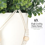 Boho Rattan Faux Plant - View 5