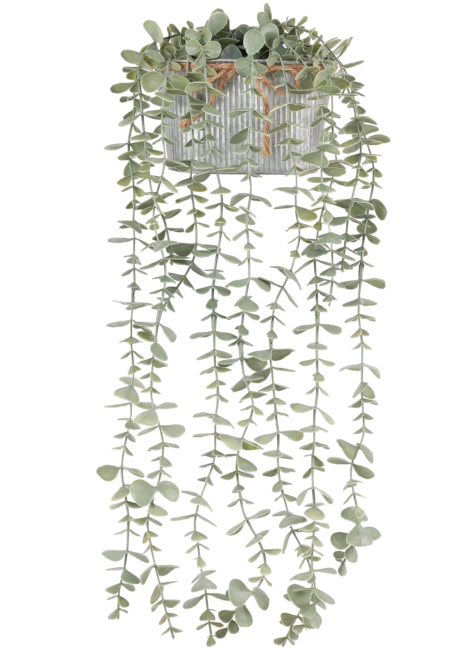 Farmhouse Black Artificial Plant