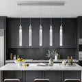 Dimmable Luxe Black Pendant Light — 2-Light — Chrome