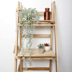Artificial Plant - View 4