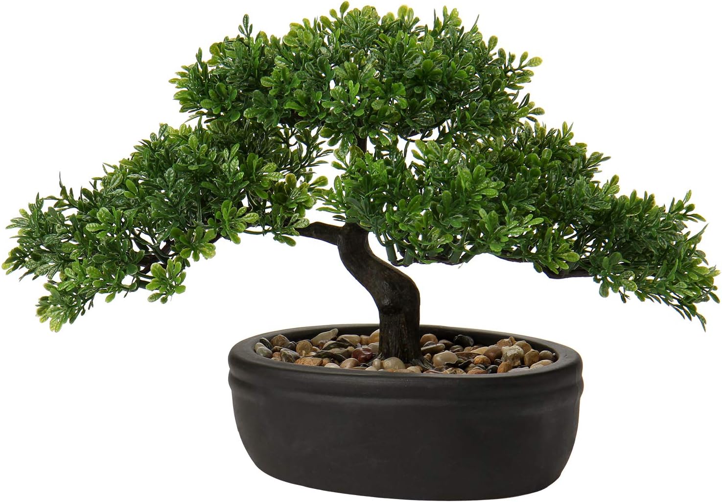 Farmhouse Ceramic Faux Plant — 6" — 9" Ficus