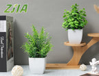 Farmhouse Faux Plant - View 4