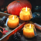 Wax Scented Candle — 3x5 - View 4