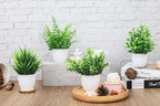 Farmhouse Faux Plant - View 3