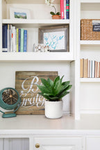 Modern Artificial Plant - View 5