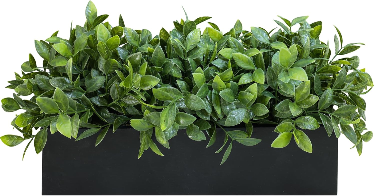 Rectangular Farmhouse Wood Artificial Plant — 14" — Boxwood in Black