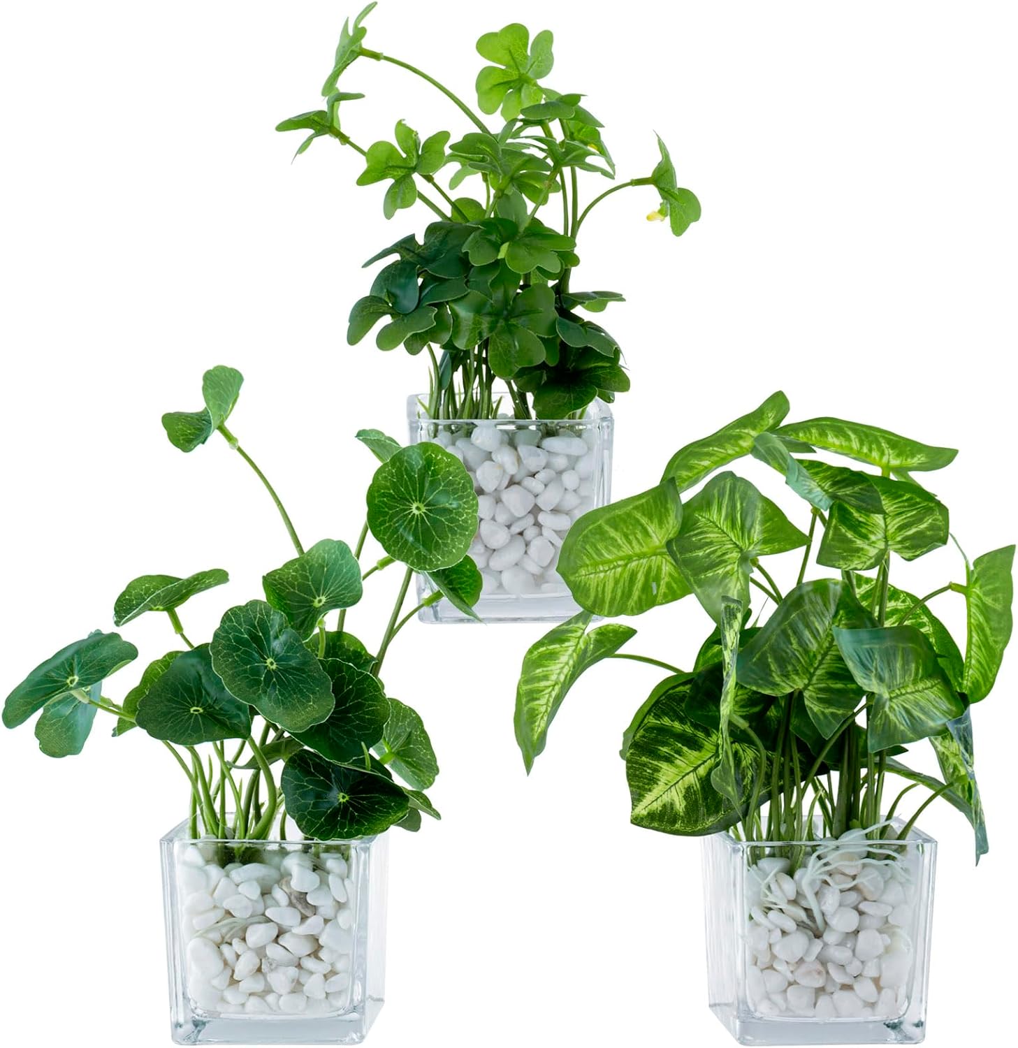 Black Faux Plant — 5" — Clear (White Pebbles)