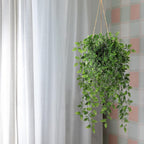 Wall Decor - View 2