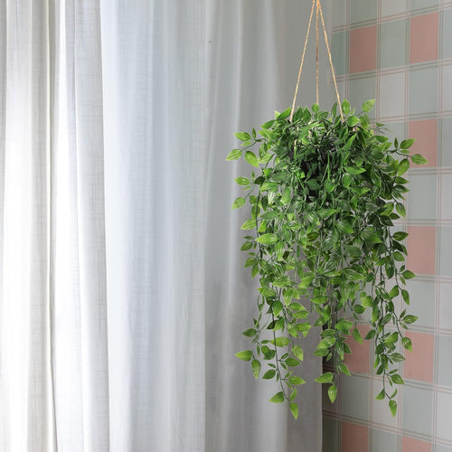 Wall Decor - View 2