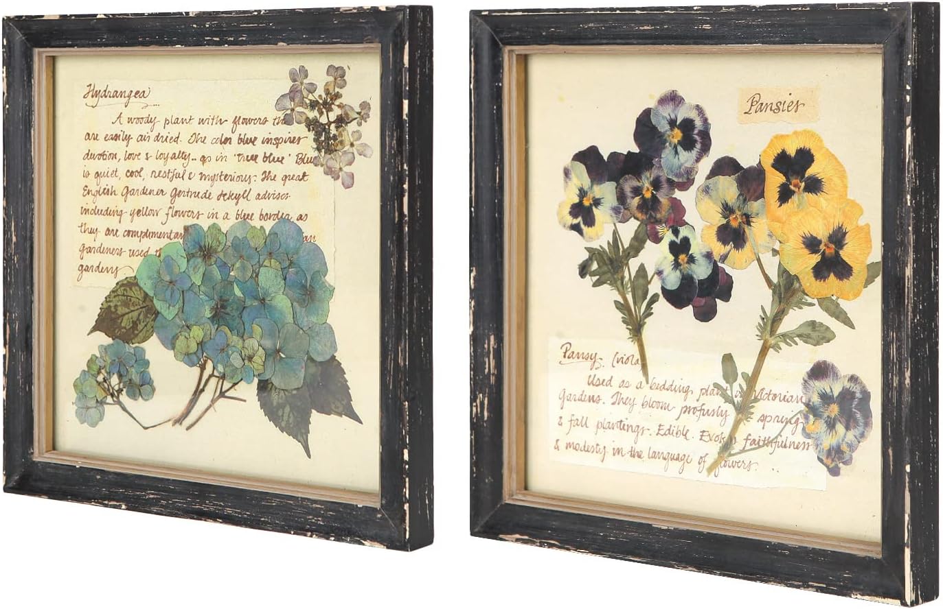 Framed Wood Wall Art — 10" — Picture-01