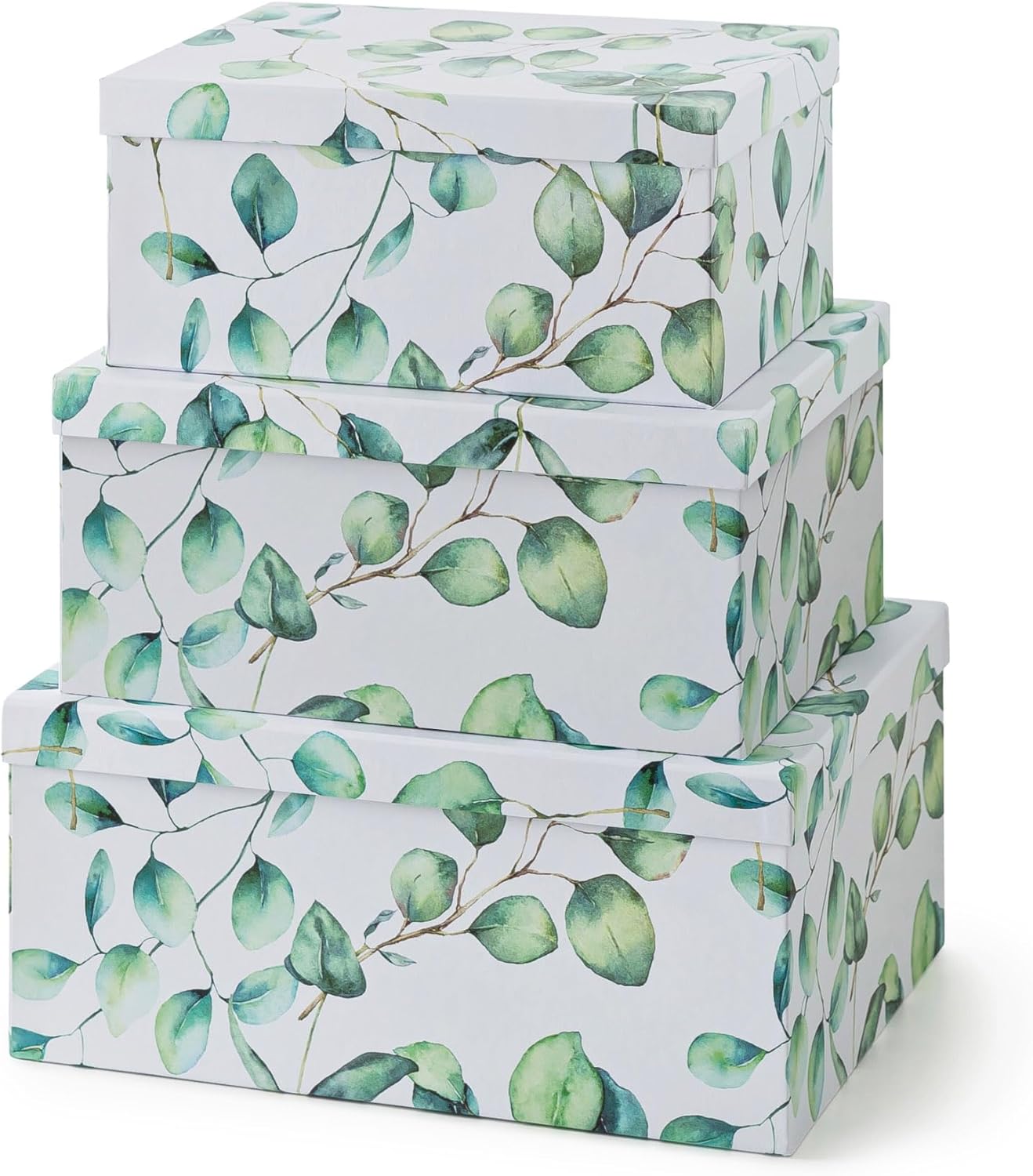Gold Storage Basket — Set of 3 — Eucalyptus Leaves