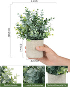 Farmhouse Black Artificial Plant - View 2