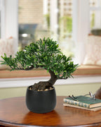 Farmhouse Ceramic Faux Plant - View 5