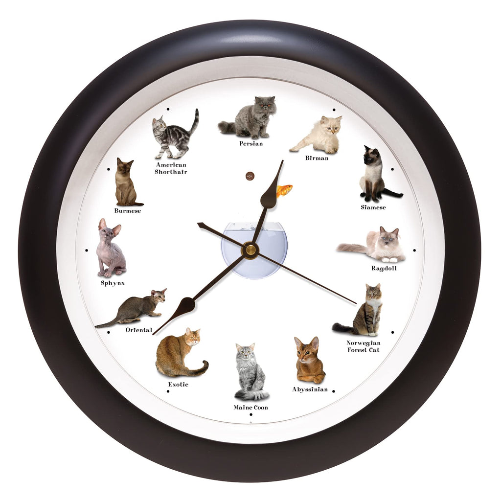 Wall Clock — 13"