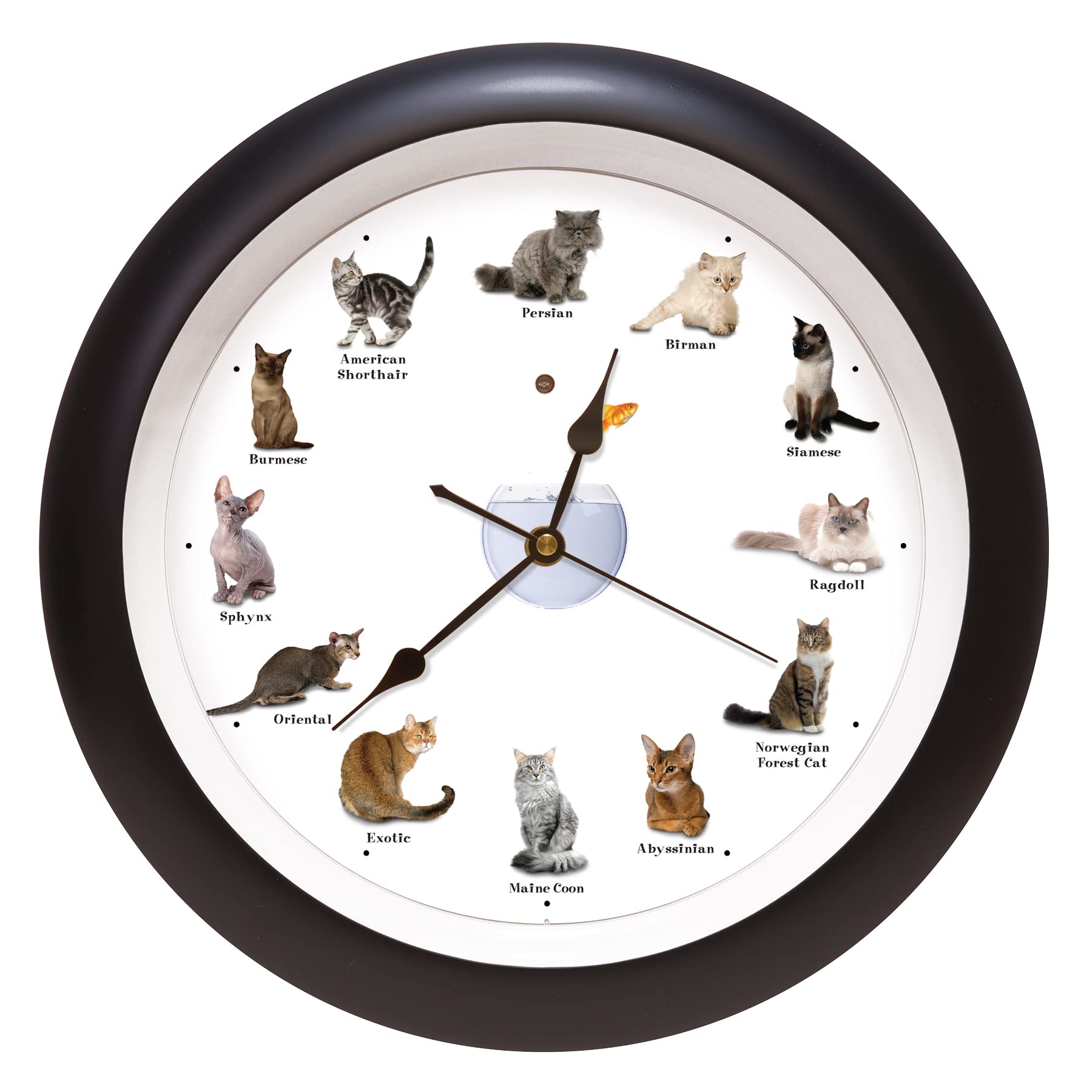 Wall Clock — 13"