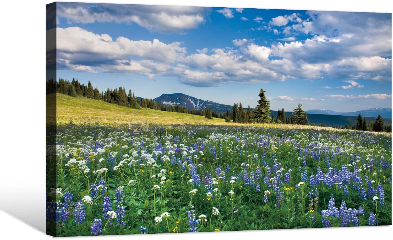 Black Canvas Wall Art — 36" — Valley of Flowers